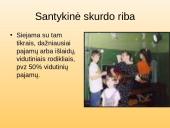Kaip gyvena skurstantys žmonės Lietuvoje? 8 puslapis