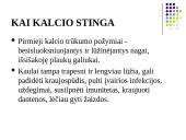 Kalcio pasisavinimas ir trūkumas 5 puslapis