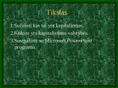 Kapitalistinės valstybės 2 puslapis