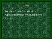 Kapitalistinės valstybės 12 puslapis