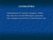 Karpiniai Lietuvoje 14 puslapis