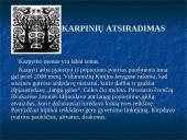 Karpiniai Lietuvoje 4 puslapis