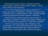 Karpiniai Lietuvoje 5 puslapis