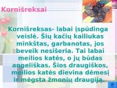 Katės ir jų veislės 5 puslapis