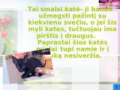 Katės ir jų veislės 7 puslapis