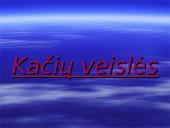 Katės, kačių veislės, vardai 5 puslapis