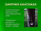 Kaučiukas. Gamtiniai ir sintetiniai polimerai  2 puslapis