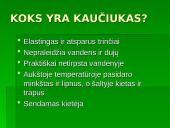 Kaučiukas. Gamtiniai ir sintetiniai polimerai  4 puslapis