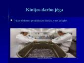 Kinijos Liaudies Respublikos ekonomika 13 puslapis