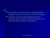 Kinijos Liaudies Respublikos ekonomika 16 puslapis