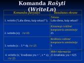 Kintamųjų ir jų tipų sąvoka 3 puslapis