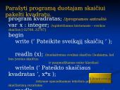 Kintamųjų ir jų tipų sąvoka 9 puslapis