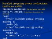 Kintamųjų ir jų tipų sąvoka 10 puslapis