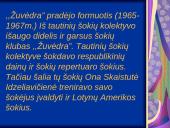 Klaipėdos universiteto sportinių šokių klubas "Žuvėdra" 3 puslapis