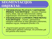 Klientų ir rinkos analizė 13 puslapis