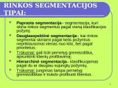 Klientų ir rinkos analizė 16 puslapis