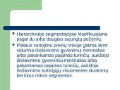 Klientų strateginė analizė 19 puslapis