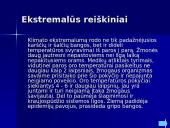 Klimato kaitos poveikis 12 puslapis