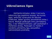 Klimato kaitos poveikis 15 puslapis
