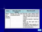 Klimato kaitos poveikis 20 puslapis