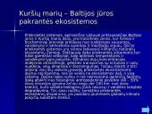 Klimato kaitos poveikis 3 puslapis