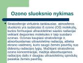 Klimato kitimas pasaulyje bei jo įtaka sveikatai 16 puslapis