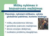 Klimato kitimas pasaulyje bei jo įtaka sveikatai 18 puslapis