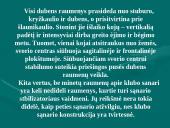 Klubo sąnarys 11 puslapis