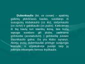 Klubo sąnarys 3 puslapis