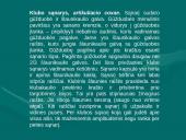 Klubo sąnarys 8 puslapis