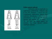 Klubo sąnarys 10 puslapis