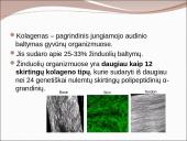 Kolageno tipai 2 puslapis