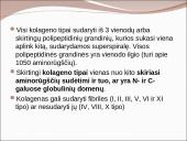 Kolageno tipai 3 puslapis