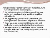 Kolageno tipai 4 puslapis