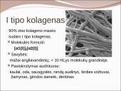 Kolageno tipai 5 puslapis