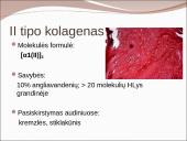 Kolageno tipai 6 puslapis