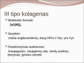 Kolageno tipai 7 puslapis