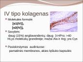 Kolageno tipai 8 puslapis