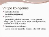 Kolageno tipai 10 puslapis