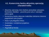 Komercinių bankų sistema 19 puslapis