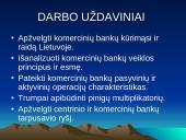 Komercinių bankų sistema 4 puslapis