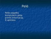 Kompiuterio sandara glaustai 7 puslapis