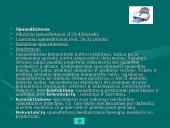 Kompiuterio sandara detaliai 11 puslapis