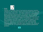 Kompiuterio sandara detaliai 8 puslapis