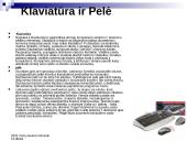 Kompiuterio sąvoka bei sandara 13 puslapis