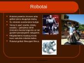 Kompiuterio istorija ir kompiuteris kasdieniniame gyvenime 14 puslapis