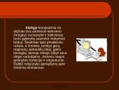 Kompiuterio istorija ir kompiuteris kasdieniniame gyvenime 19 puslapis