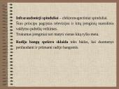 Kompiuteriai ir kompiuterių tinklai 12 puslapis