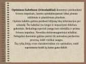 Kompiuteriai ir kompiuterių tinklai 8 puslapis