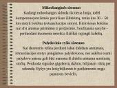 Kompiuteriai ir kompiuterių tinklai 10 puslapis